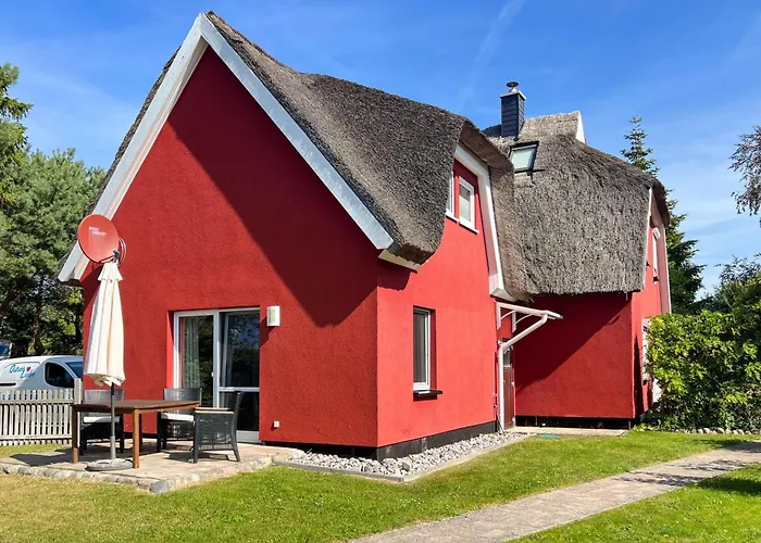 Reetzeit 2 * Цингст